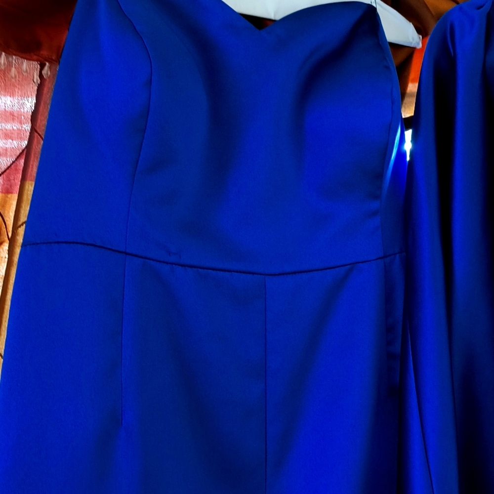 This is a royal blue jumpsuit with train down to ankles.Back of train w/ bow.